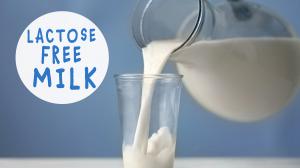 Bezlaktózové mlieko - Pime mlieko rastlinného pôvodu