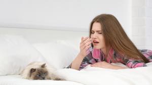 Ako sa zbaviť alergie na srsť mačky?