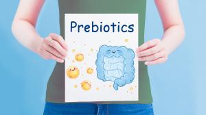 Rast prospešných baktérií, čiže probiotík, podporujeme pomocou prebiotík