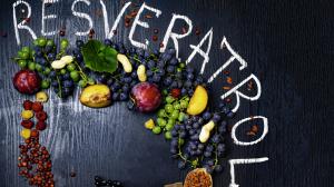 Nakoľko je resveratrol výnimočne účinným antioxidantom, je schopný neutralizovať škodlivé voľné radikály v organizme
