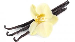 Prospešné účinky vanilky sa prejavujú vďaka jej mimoriadnym zložkám